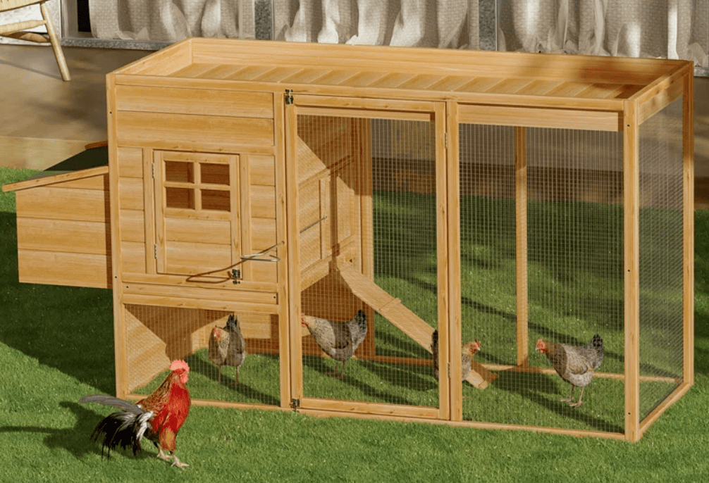 The Best Chicken Coop for Your Area: Key Factors to&nbsp;Consider